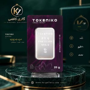 20 گرمی توکنیکو نقره